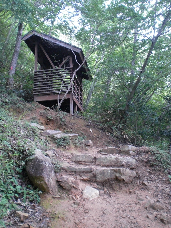 c0013687_631441.jpg