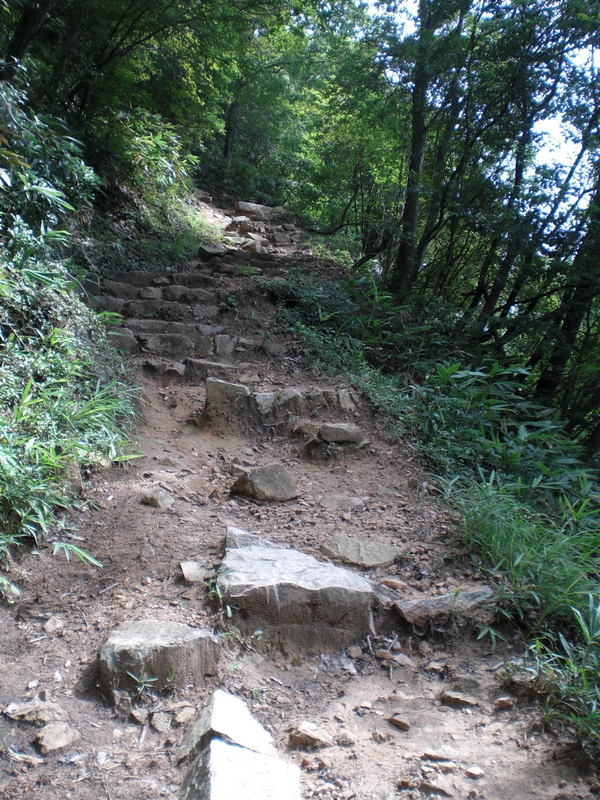c0013687_631726.jpg