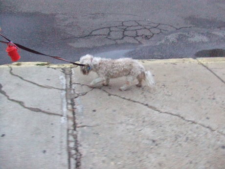 c0253487_28583.jpg