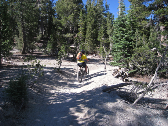 e0326991_114955.jpg