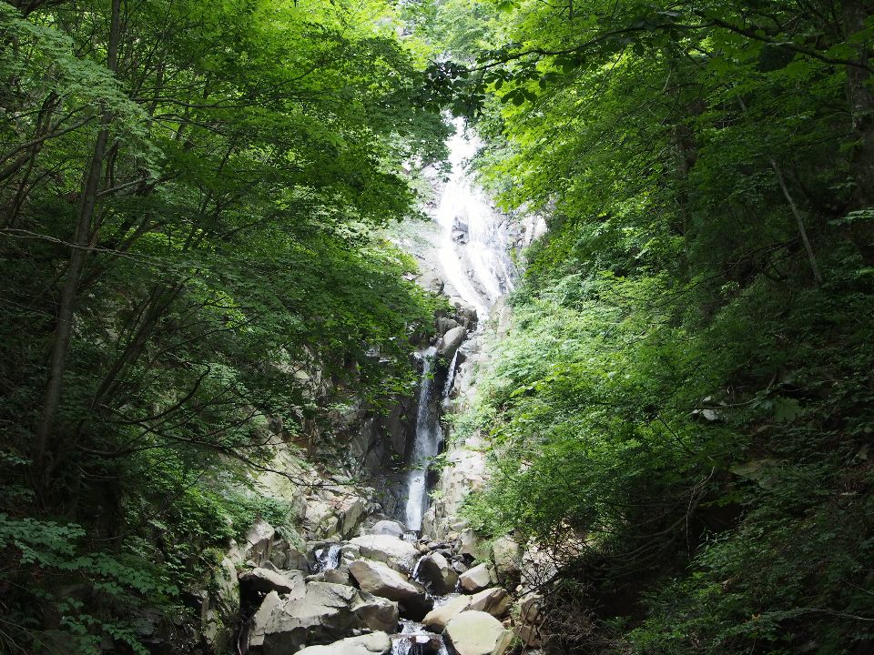 ガスの氷ノ山も良いものです　2013/08/03（土）　ガス　4名_c0134193_938269.jpg