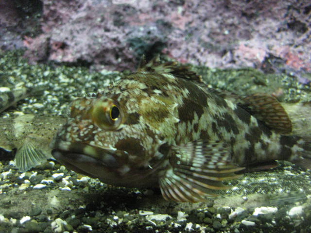 a0224502_123663.jpg