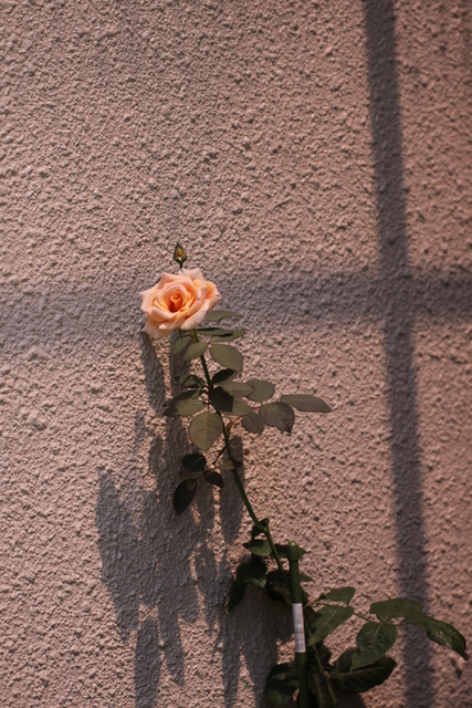d0248502_64376.jpg