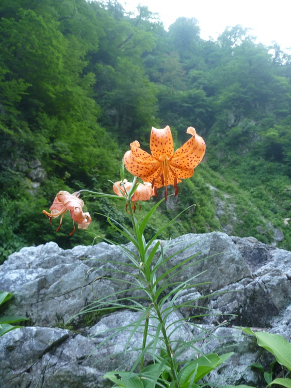 b0229003_14555329.jpg