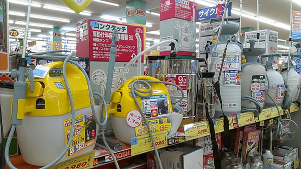 a0000006_2061145.jpg