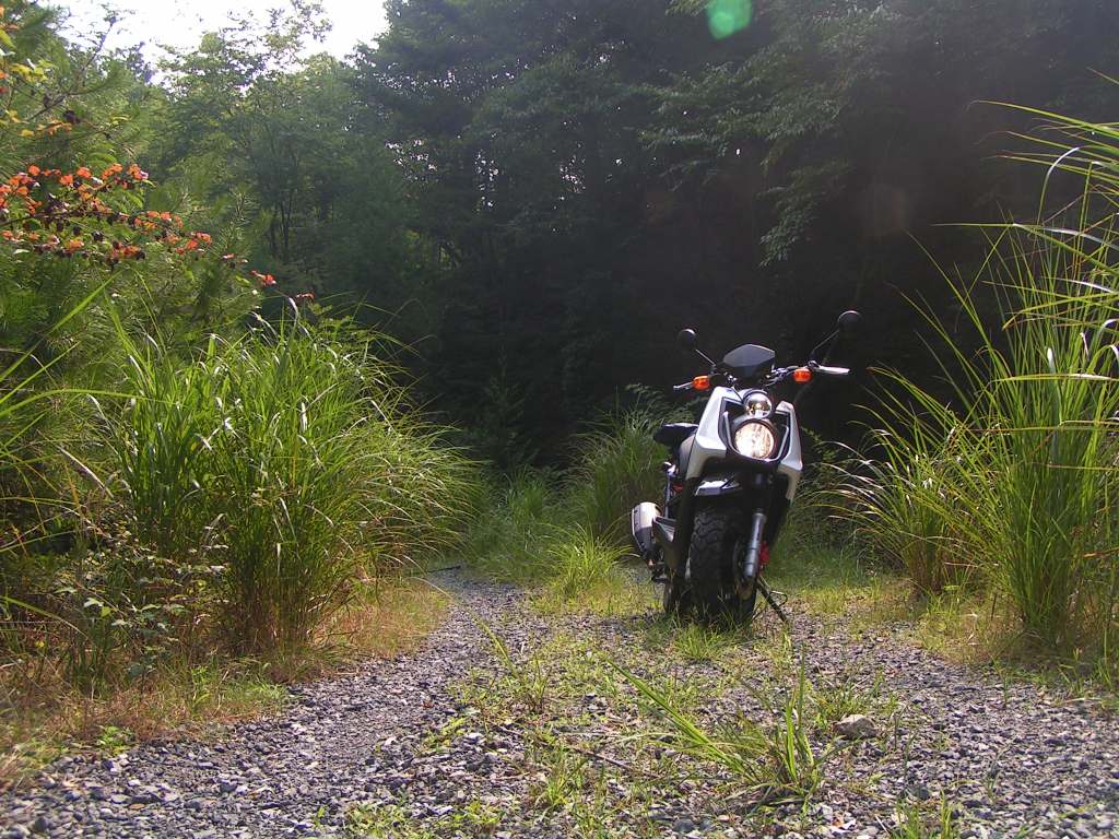c0001613_11382663.jpg