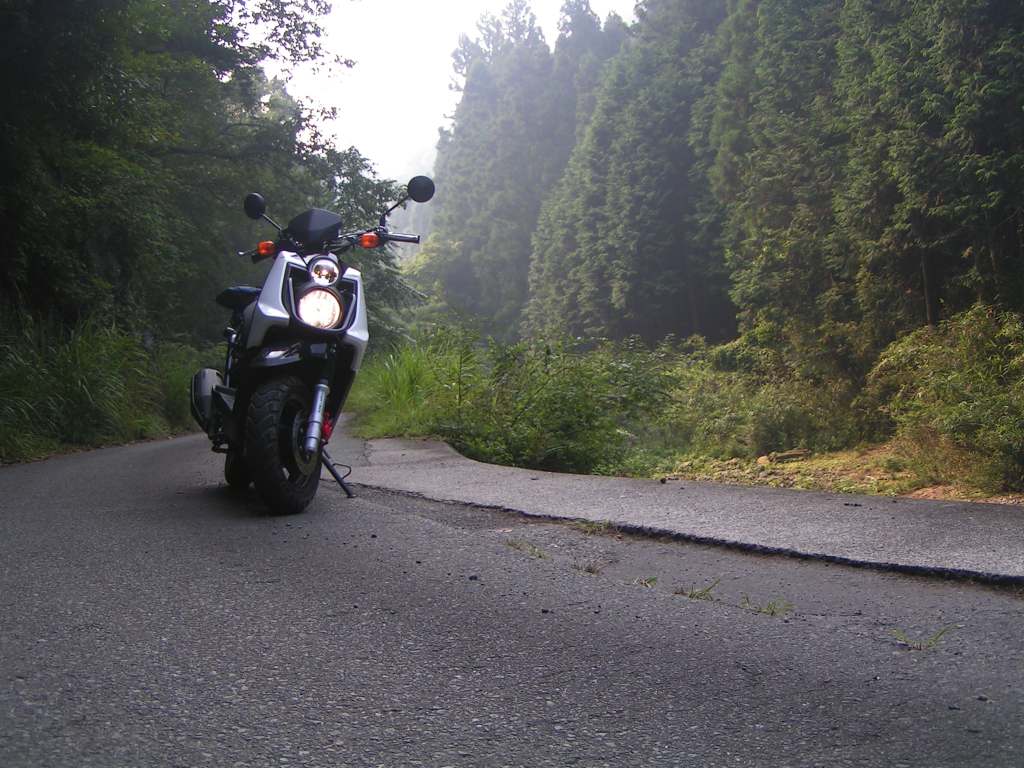 c0001613_11382753.jpg