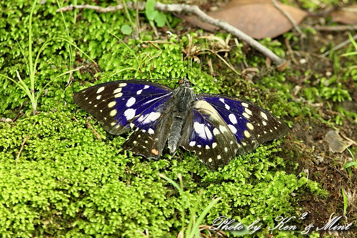 e0218518_2212746.jpg
