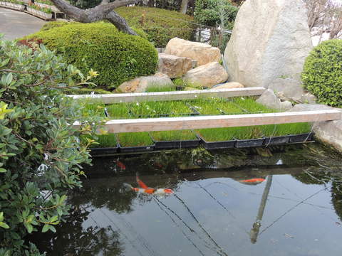 b0092823_1725927.jpg