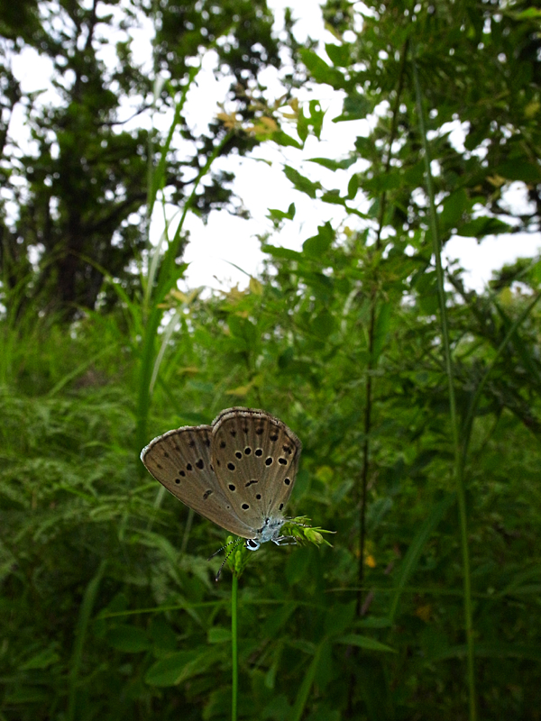 d0054625_8524452.jpg
