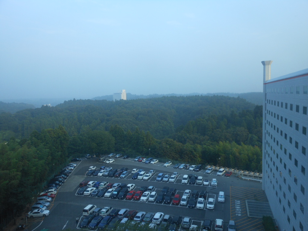 成田空港 猛暑の夏_c0155326_23333728.jpg