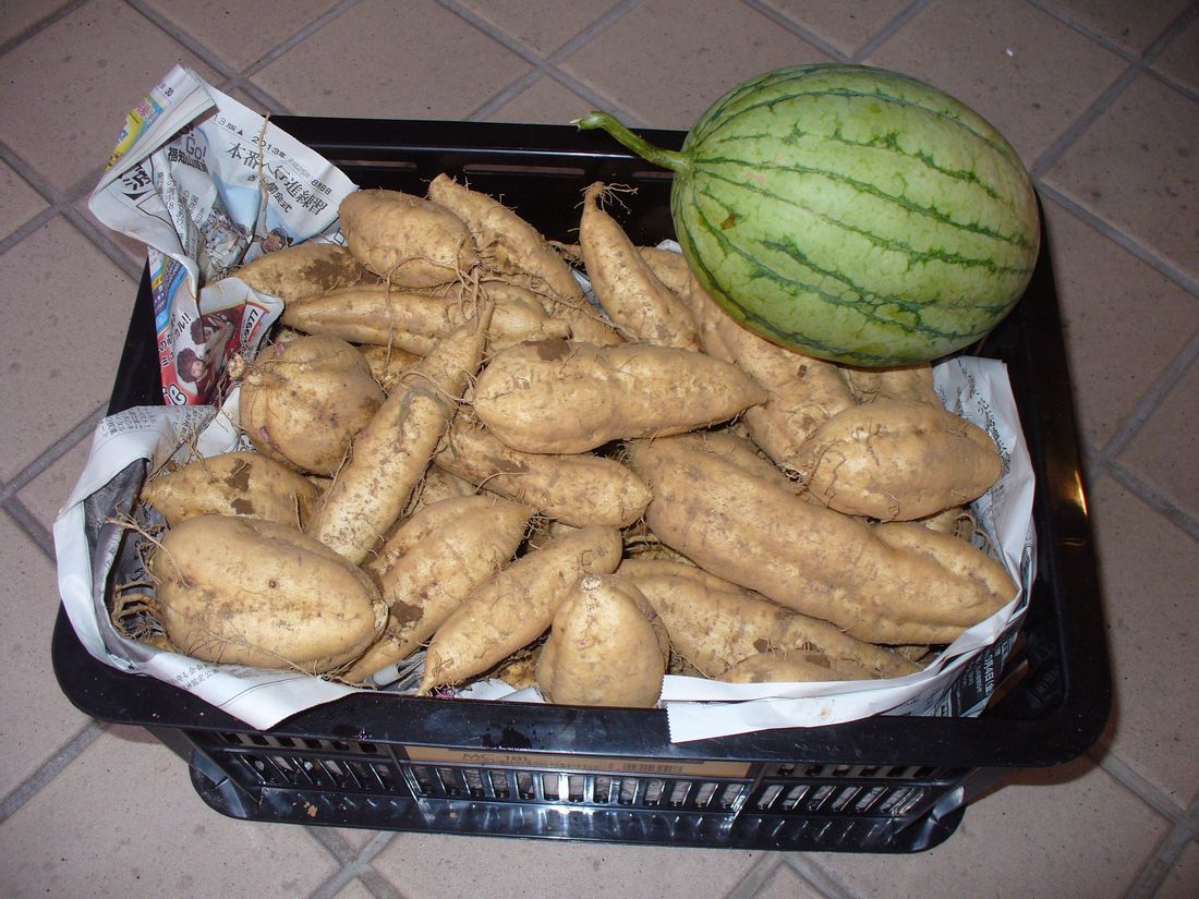 f0275632_21465877.jpg