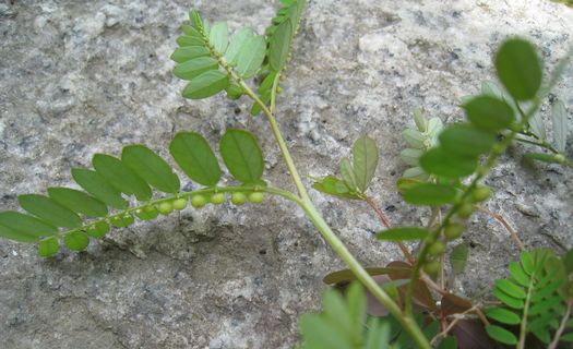 c0134734_21332996.jpg