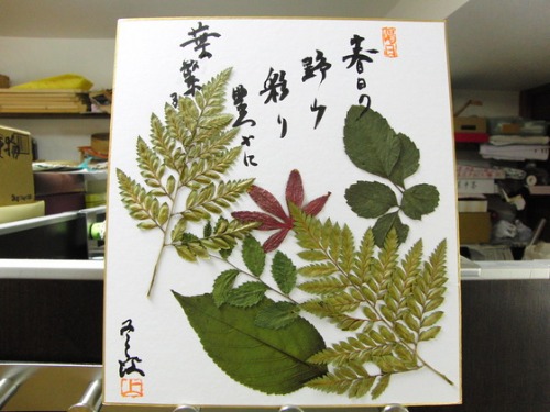 押し花貼り絵 ~ 春・花ごよみ ~_e0222340_1821859.jpg