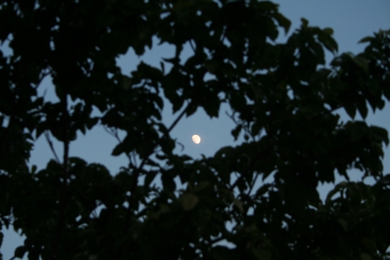 e0126350_024393.jpg
