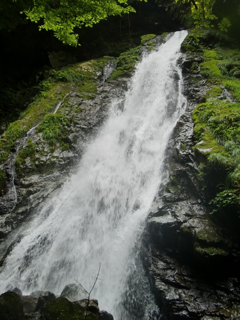 b0227552_1415479.jpg