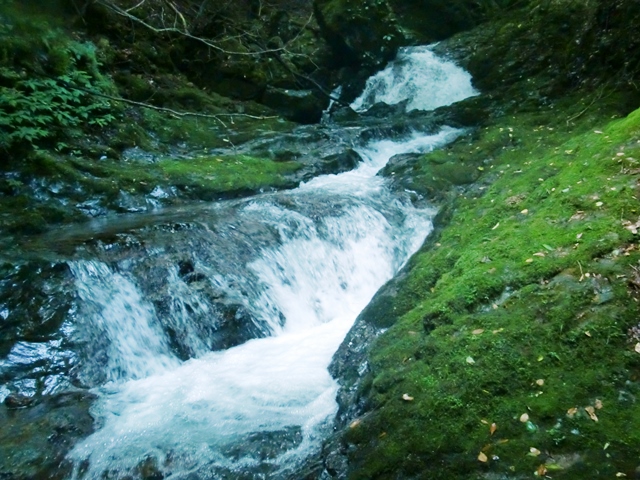 b0227552_14422514.jpg