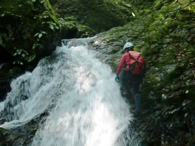 b0227552_149684.jpg