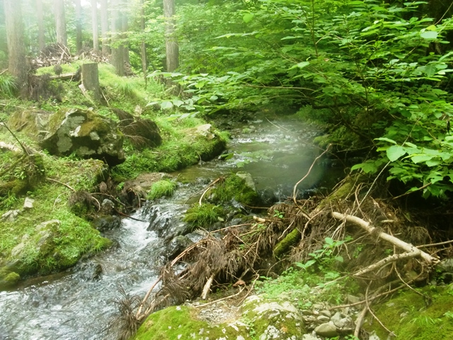b0227552_1504077.jpg