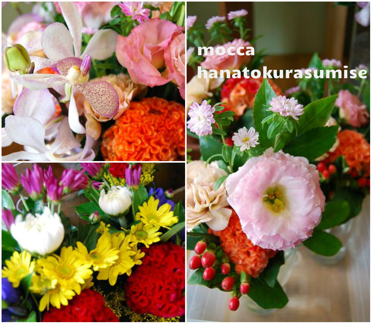 お盆のお花も木花で。_a0201358_18175831.jpg