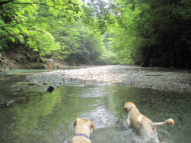 泳げる川 べちほたおぴんちゃんぷ 泳げる川 べちほたおぴんちゃんぷ