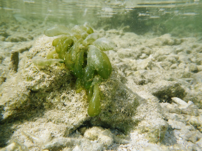 c0180460_8101593.jpg