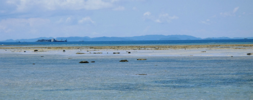 c0180460_845840.jpg