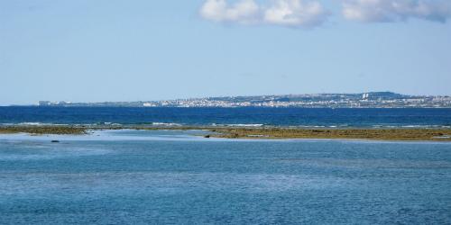 c0180460_851545.jpg