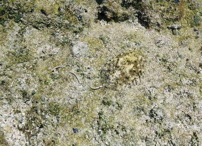 c0180460_854164.jpg