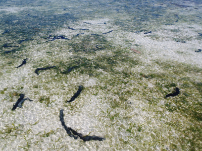 c0180460_873131.jpg
