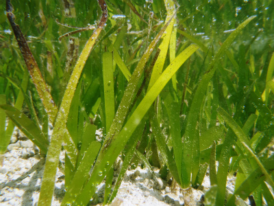 c0180460_874811.jpg