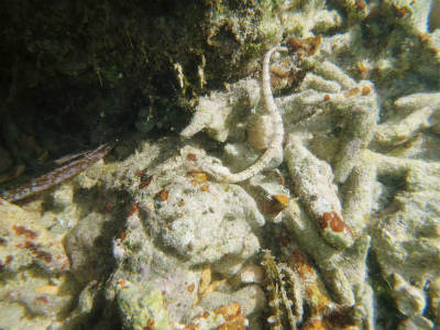 c0180460_87641.jpg