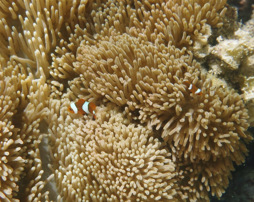 c0180460_89429.jpg