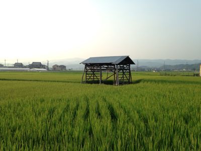 早朝散歩_e0136066_9302139.jpg