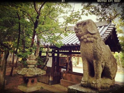早朝散歩_e0136066_9302324.jpg