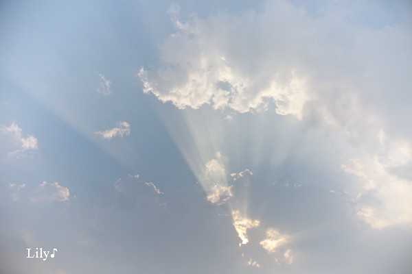 天使の光 虹の架け橋 天使 精霊たちとともに 天使の光 虹の架け橋 天使 精霊たちとともに