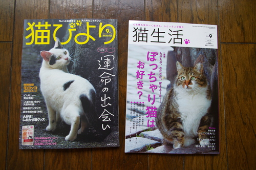 猫の森通販最終日は24時まで受付、連載２誌発売！_f0054677_8455224.jpg