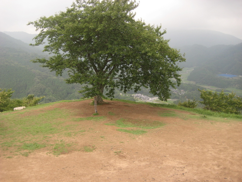 c0013687_7161090.jpg