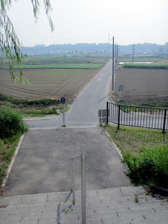 d0085887_23111675.jpg