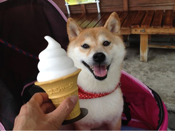 小布施をぶらり_a0126590_1643389.jpg