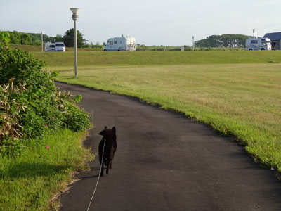e0204795_9215792.jpg