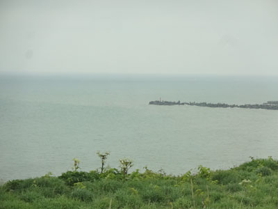 e0204795_992618.jpg
