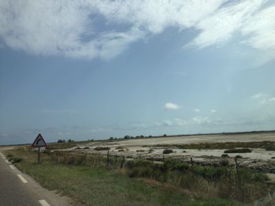 a0118701_615211.jpg