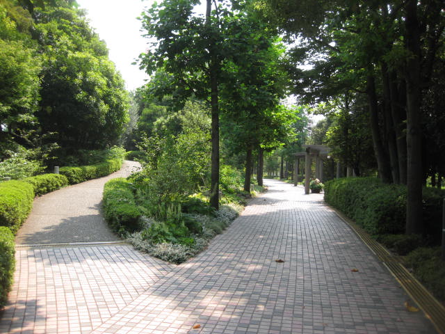 a0224502_2226589.jpg