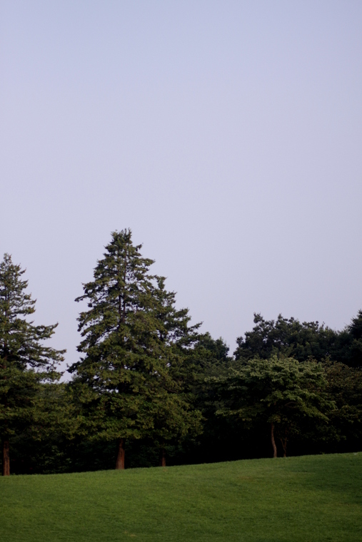 d0248502_65156.jpg