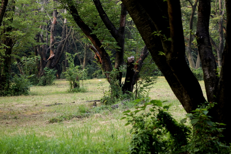 d0248502_66057.jpg