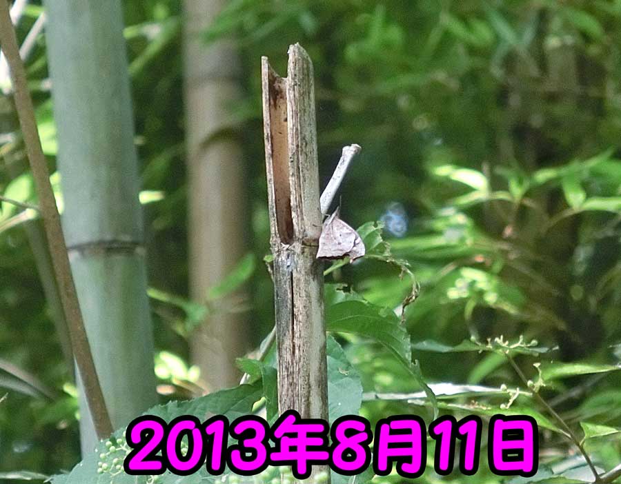 e0253104_23554944.jpg