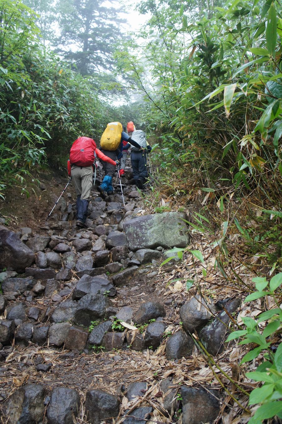 トムラウシ山◆悔しい撤退◆2013.8.9-11_a0248508_1942948.jpg