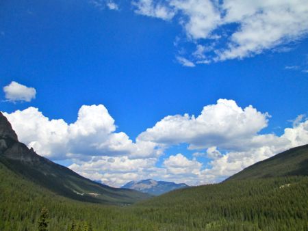 b0051109_8582340.jpg