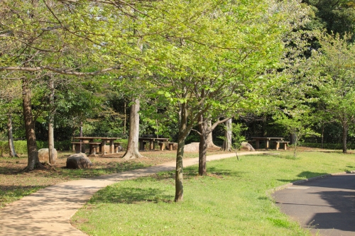 c0211309_7184561.jpg